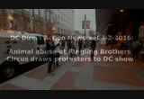 Calling out Ringling Bros circus for animal abuse